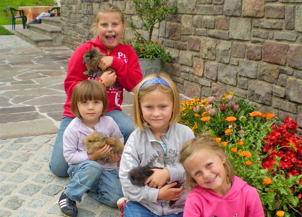 Hasen, Tiere am Steinbachgut, Urlaub am Bauernhof in Flachau