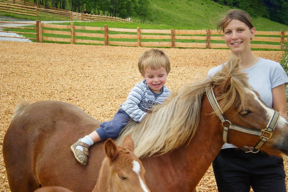 Pferde, Tiere am Steinbachgut, Familienurlaub am Bauernhof in Flachau