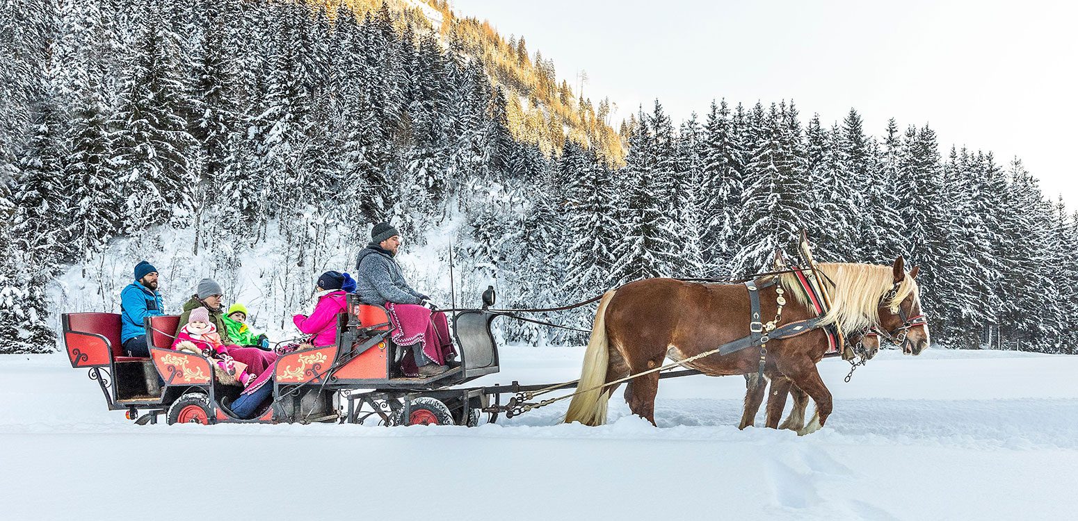 Pferdeschlittenfahrten - Winterurlaub in Flachau